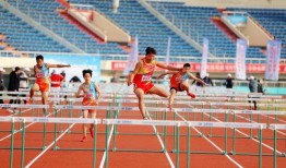 体育最新爆料2023,年度焦点事件大盘点